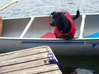 /home//u458753944/public_html/sourcegallery//////other/barb pics/PICS FROM LIZZIES CAMERA 193.jpg